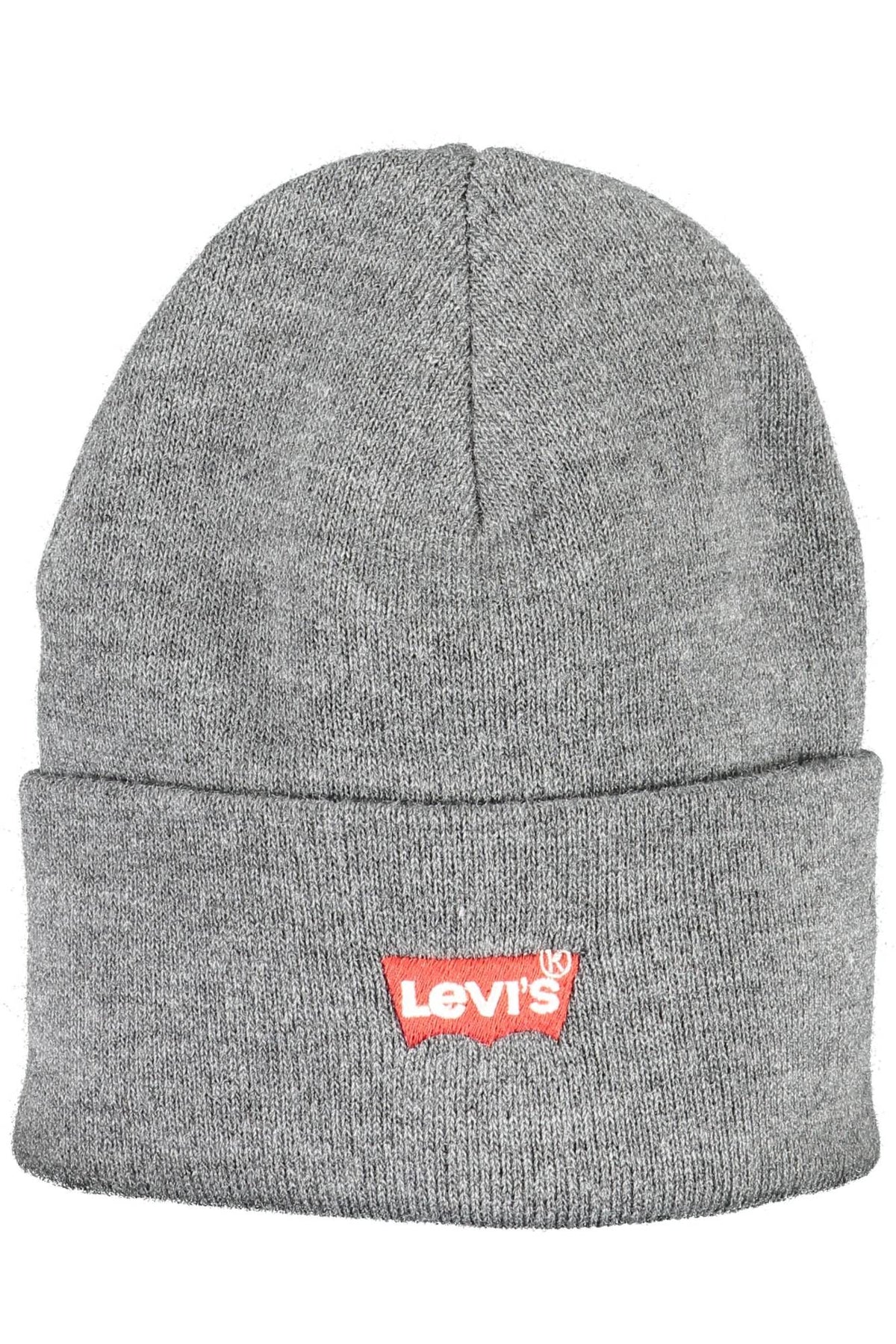 Levi's Chic Embroidered Logo Cap in Gray