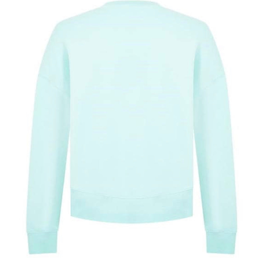 Palm Angels Mens Pmba026S23Fle0054001 Jumper Light Blue